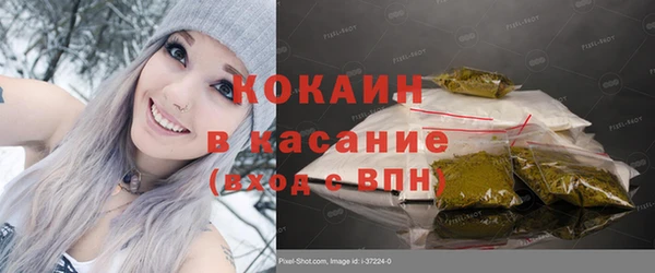 сатива Богданович