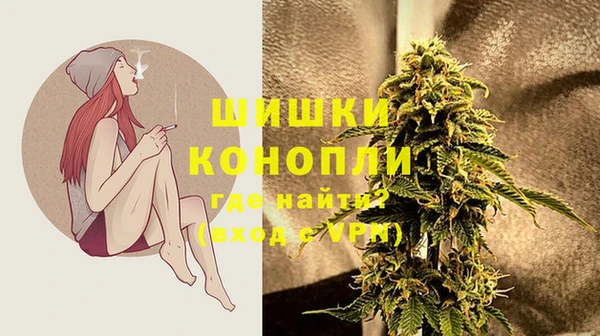 сатива Богданович