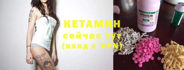 сатива Богданович