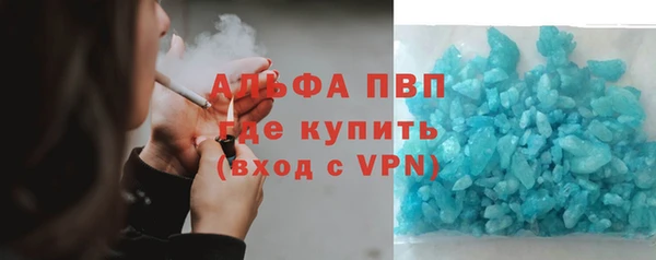 сатива Богданович