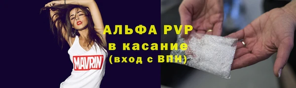 сатива Богданович