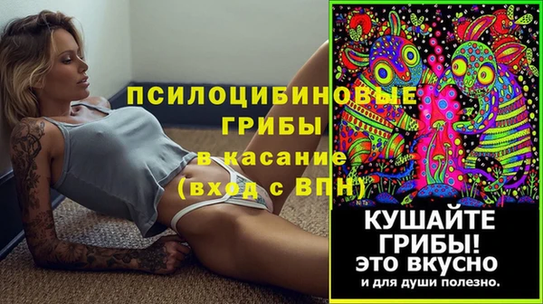 сатива Богданович