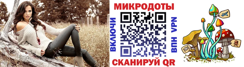 Псилоцибиновые грибы Psilocybine cubensis  Сосногорск 